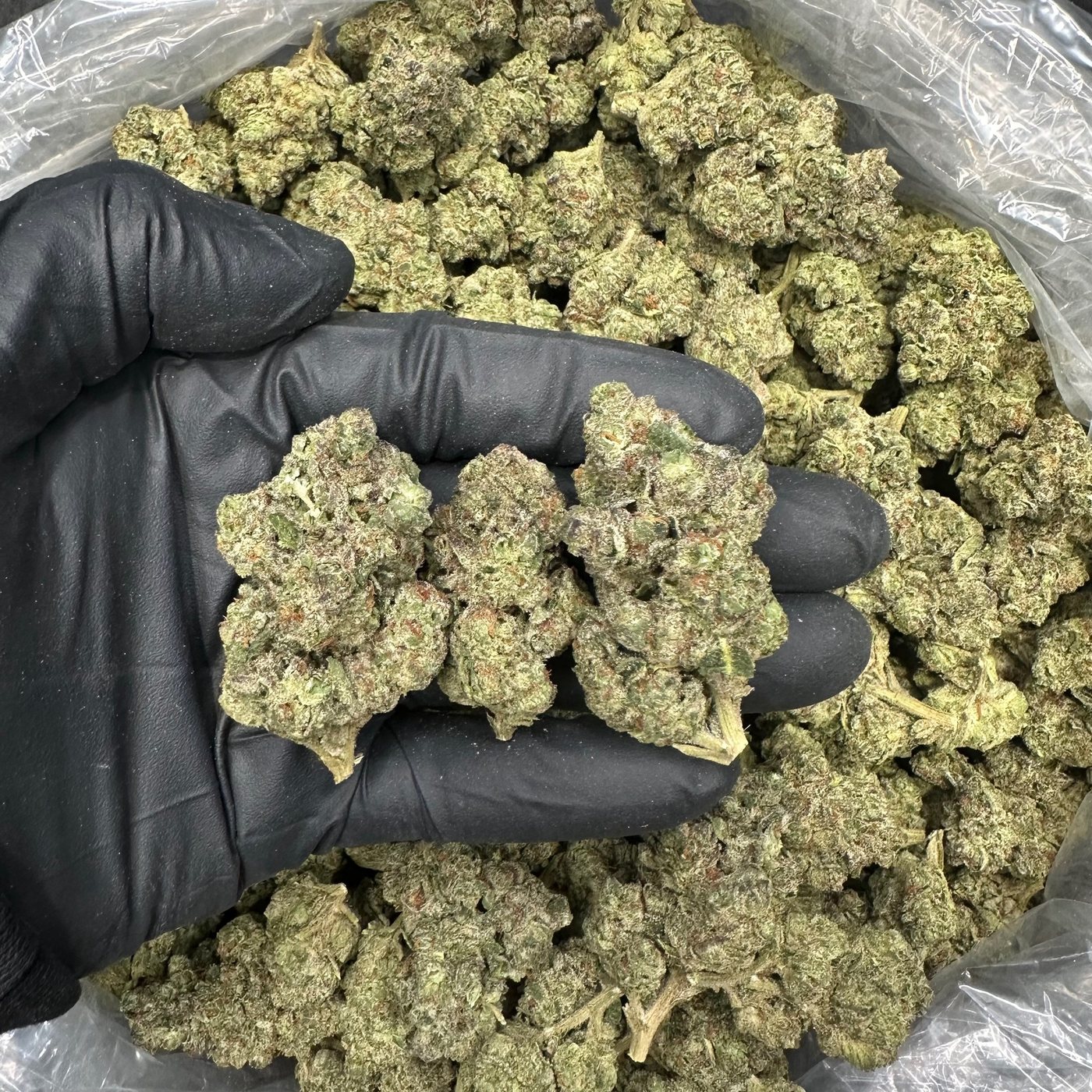 Granddaddy Purple &mdash; Top Shelf