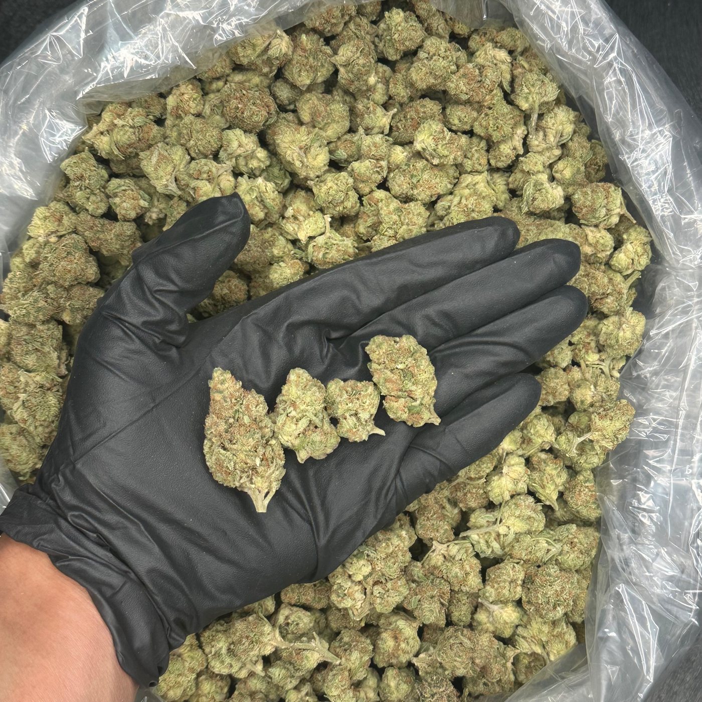 Purple Cloud &mdash; Top Shelf