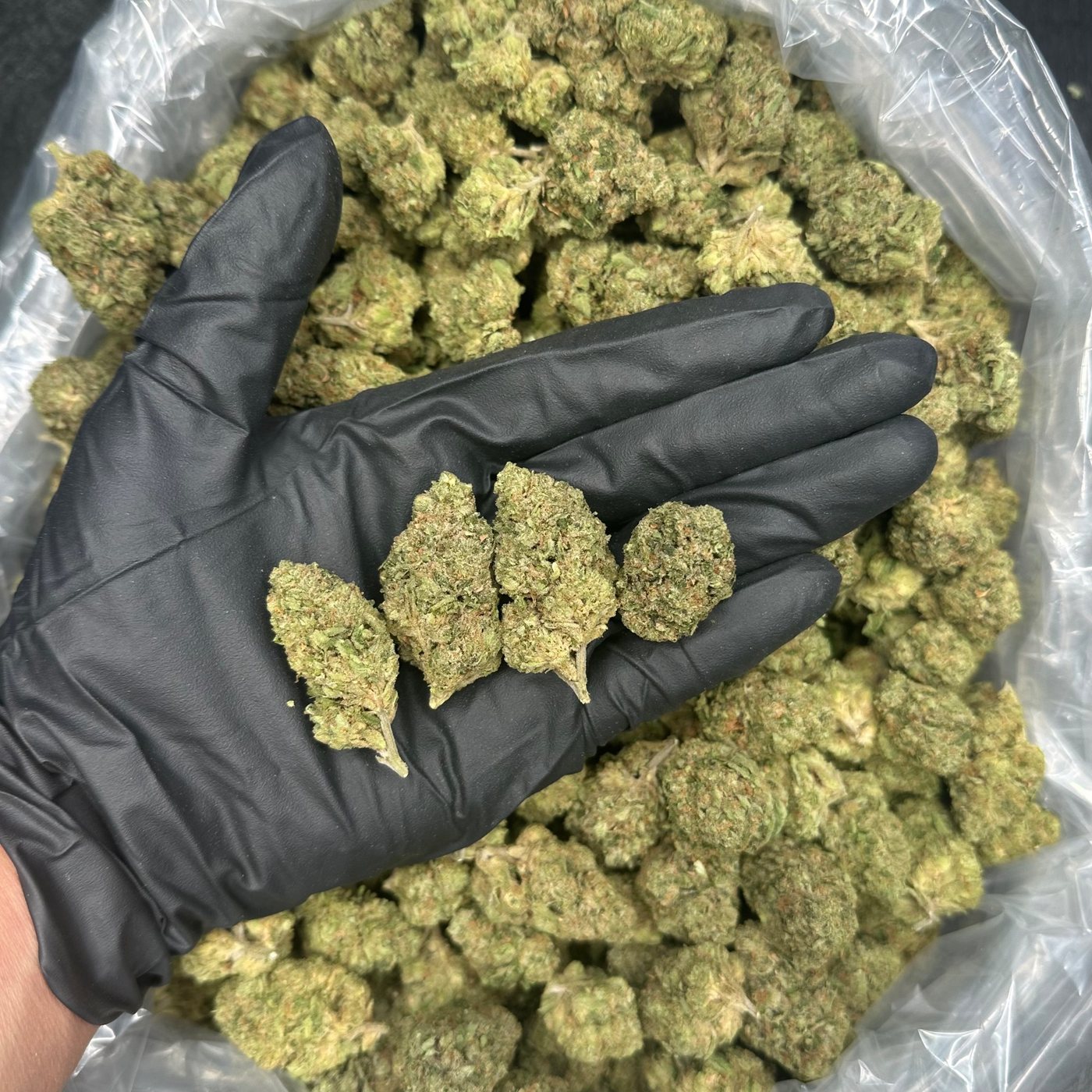 Wedding Cake &mdash; Exotics
