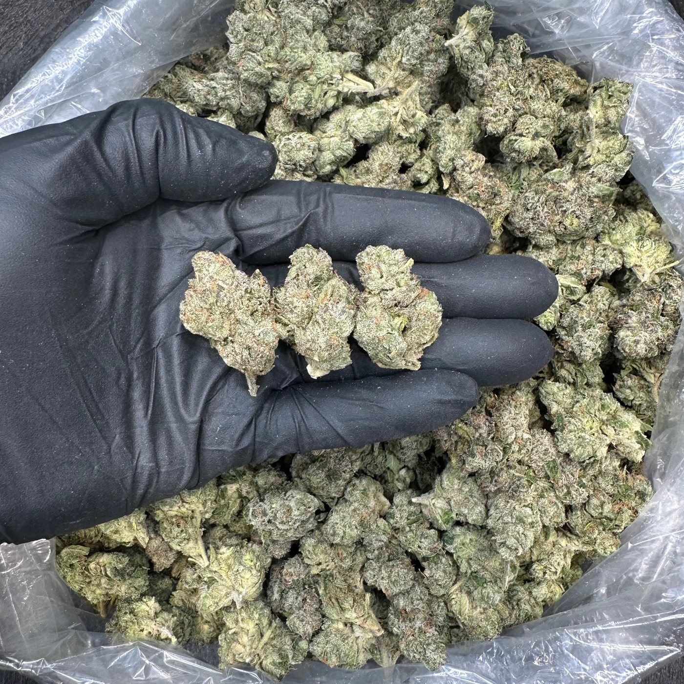 Maui Wowie &mdash; Top Shelf